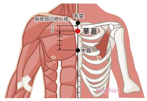 華蓋穴念佛